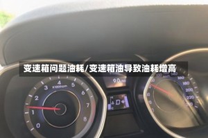 变速箱问题油耗/变速箱油导致油耗增高