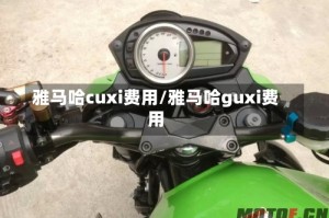 雅马哈cuxi费用/雅马哈guxi费用