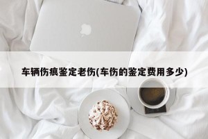 车辆伤痕鉴定老伤(车伤的鉴定费用多少)