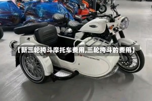 【新三轮挎斗摩托车费用,三轮挎斗的费用】