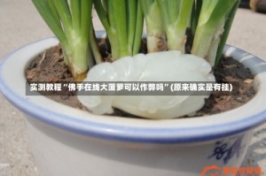 实测教程“佛手在线大菠萝可以作弊吗”(原来确实是有挂)