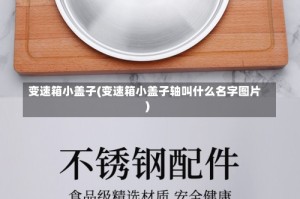 变速箱小盖子(变速箱小盖子轴叫什么名字图片)