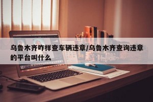 乌鲁木齐咋样查车辆违章/乌鲁木齐查询违章的平台叫什么