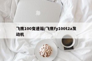 飞鹰100变速箱/飞鹰fy100t2a发动机