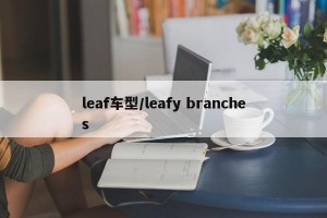 leaf车型/leafy branches