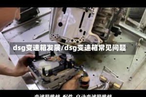 dsg变速箱发展/dsg变速箱常见问题