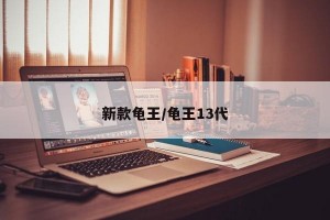 新款龟王/龟王13代