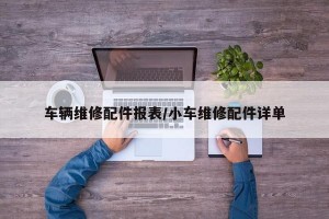 车辆维修配件报表/小车维修配件详单