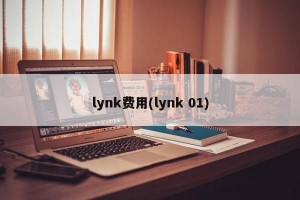 lynk费用(lynk 01)