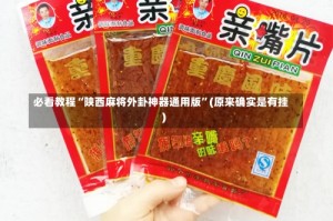 必看教程“陕西麻将外卦神器通用版”(原来确实是有挂)