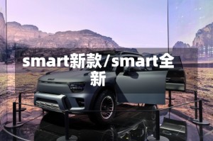 smart新款/smart全新