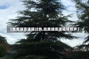 【凯美瑞变速箱过热,凯美瑞变速箱吱吱声】