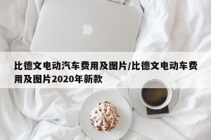 比德文电动汽车费用及图片/比德文电动车费用及图片2020年新款