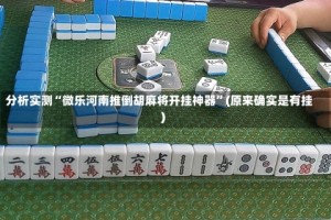 分析实测“微乐河南推倒胡麻将开挂神器”(原来确实是有挂)