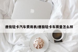 唐俊轻卡汽车费用表/唐骏轻卡车质量怎么样