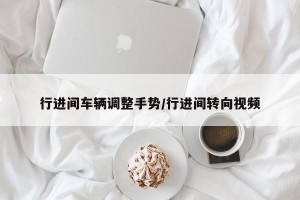 行进间车辆调整手势/行进间转向视频