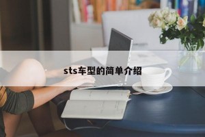 sts车型的简单介绍