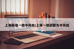 上海新增一地中风险/上海一地调整为中风险