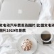 比德文电动汽车费用及图片/比德文电动车费用及图片2020年新款