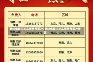 新鸽电动三轮车费用及图片/新鸽电动三轮车费用及图片欣赏