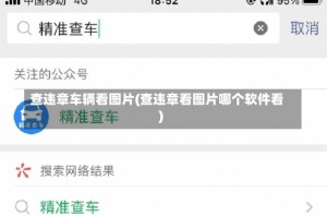 查违章车辆看图片(查违章看图片哪个软件看)