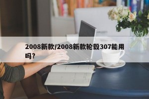 2008新款/2008新款轮毂307能用吗?