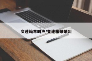 变速箱羊叫声/变速箱蛐蛐叫