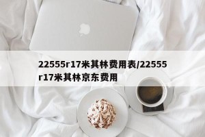 22555r17米其林费用表/22555r17米其林京东费用