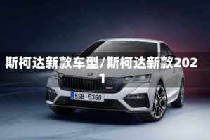 斯柯达新款车型/斯柯达新款2021