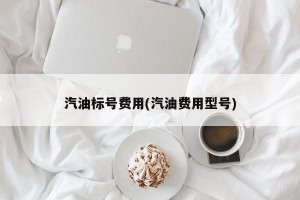 汽油标号费用(汽油费用型号)