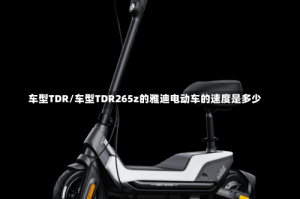 车型TDR/车型TDR265z的雅迪电动车的速度是多少