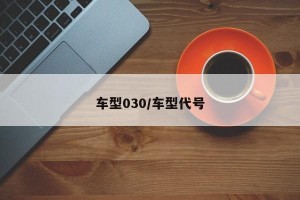车型030/车型代号