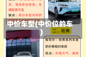 中价车型(中价位的车)