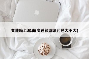 变速箱上漏油(变速箱漏油问题大不大)