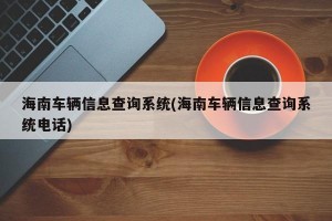 海南车辆信息查询系统(海南车辆信息查询系统电话)