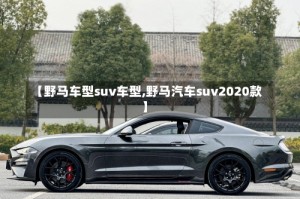 【野马车型suv车型,野马汽车suv2020款】