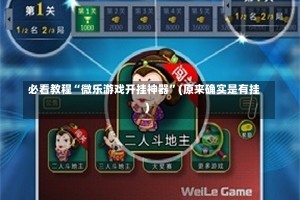 必看教程“微乐游戏开挂神器”(原来确实是有挂)