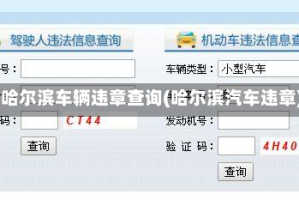 h哈尔滨车辆违章查询(哈尔滨汽车违章)