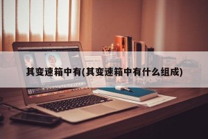 其变速箱中有(其变速箱中有什么组成)