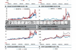 【沈阳最新油价,沈阳最新油价今日费用】