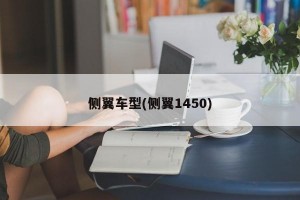 侧翼车型(侧翼1450)