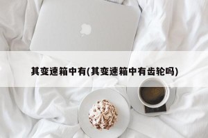 其变速箱中有(其变速箱中有齿轮吗)